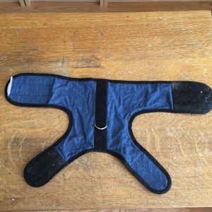 Jackson Galaxy approved Kitty Holster